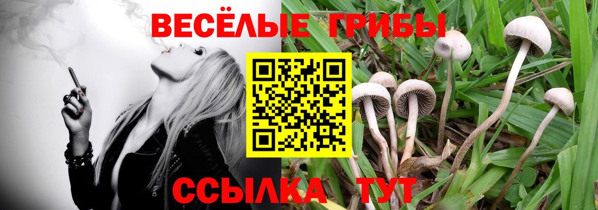 Псилоцибиновые грибы мухоморы Керчь