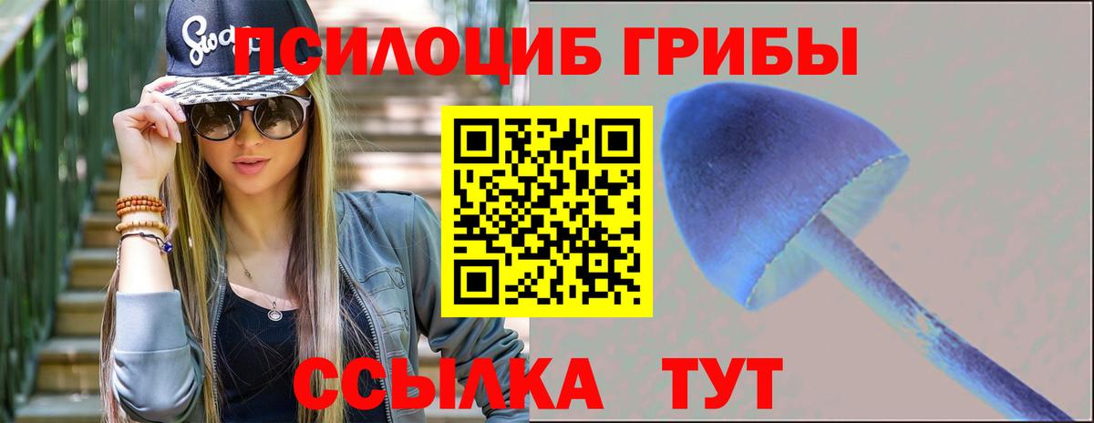 Галлюциногенные грибы Magic Shrooms  Галлюциногенные грибы GOLDEN TEACHER  Керчь  Вход с VPN 